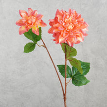 Load image into Gallery viewer, Dahlia Orange 60cm
