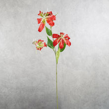 Load image into Gallery viewer, Gloriosa Red 81cm
