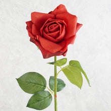 Load image into Gallery viewer, Rose Red 73cm
