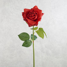 Load image into Gallery viewer, Rose Red 73cm
