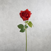 Load image into Gallery viewer, Rose Red 73cm
