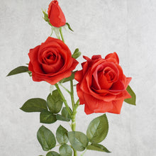 Load image into Gallery viewer, Rose 3 Heads Tall Red 76cm
