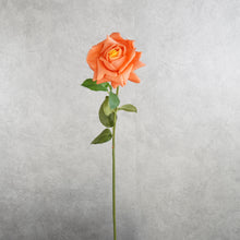 Load image into Gallery viewer, Rose Orange 73cm
