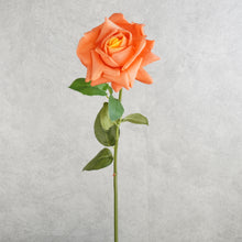 Load image into Gallery viewer, Rose Orange 73cm
