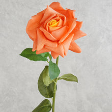 Load image into Gallery viewer, Rose Orange 73cm
