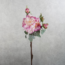 Load image into Gallery viewer, Peony Purple 58cm
