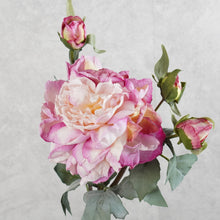 Load image into Gallery viewer, Peony Purple 58cm
