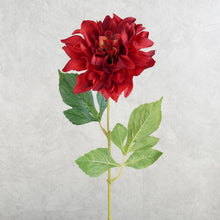 Load image into Gallery viewer, Dahlia Red 61cm
