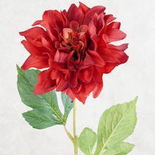 Load image into Gallery viewer, Dahlia Red 61cm
