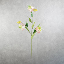 Load image into Gallery viewer, Gloriosa Pink 81cm
