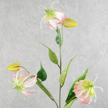 Load image into Gallery viewer, Gloriosa Pink 81cm
