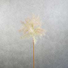 Load image into Gallery viewer, Smoke Tree Pink 70cm
