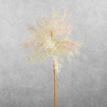 Load image into Gallery viewer, Smoke Tree Pink 70cm
