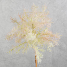 Load image into Gallery viewer, Smoke Tree Pink 70cm
