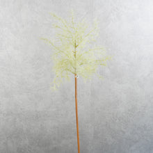 Load image into Gallery viewer, Smoke Tree Green 70cm
