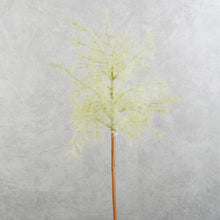 Load image into Gallery viewer, Smoke Tree Green 70cm
