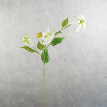Load image into Gallery viewer, Gloriosa White 81cm
