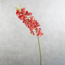 Load image into Gallery viewer, Orchid Red 78cm
