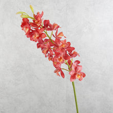 Load image into Gallery viewer, Orchid Red 78cm

