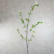 Load image into Gallery viewer, Spirea White 115cm
