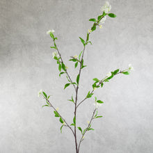 Load image into Gallery viewer, Spirea White 115cm
