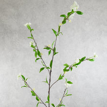 Load image into Gallery viewer, Spirea White 115cm
