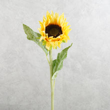 Load image into Gallery viewer, Sunflower Yellow 60cm
