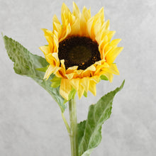 Load image into Gallery viewer, Sunflower Yellow 60cm
