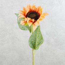 Load image into Gallery viewer, Sunflower Orange 60cm
