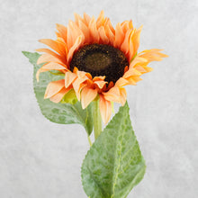 Load image into Gallery viewer, Sunflower Orange 60cm
