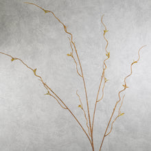 Load image into Gallery viewer, Brunch Brown 116cm
