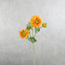 Load image into Gallery viewer, Calendula Orange 50cm

