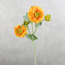Load image into Gallery viewer, Calendula Orange 50cm
