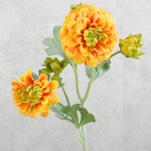 Load image into Gallery viewer, Calendula Orange 50cm
