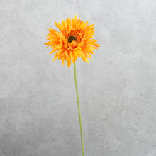 Load image into Gallery viewer, Gerbera Fluffy Petals Orange 45cm
