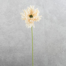 Load image into Gallery viewer, Gerbera Fluffy Petals Cream 45cm
