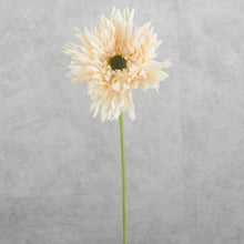 Load image into Gallery viewer, Gerbera Fluffy Petals Cream 45cm
