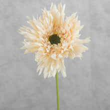 Load image into Gallery viewer, Gerbera Fluffy Petals Cream 45cm
