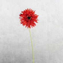 Load image into Gallery viewer, Gerbera Fluffy Petals Red 45cm
