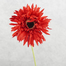Load image into Gallery viewer, Gerbera Fluffy Petals Red 45cm
