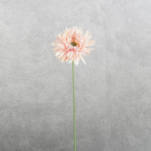 Load image into Gallery viewer, Gerbera Fluffy Petals Pink 45cm
