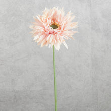 Load image into Gallery viewer, Gerbera Fluffy Petals Pink 45cm
