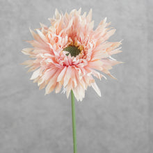 Load image into Gallery viewer, Gerbera Fluffy Petals Pink 45cm
