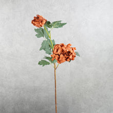 Load image into Gallery viewer, Dahlia Burnt Amber 66cm
