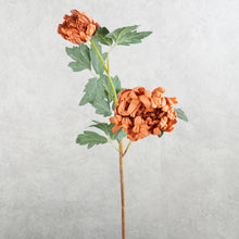Load image into Gallery viewer, Dahlia Burnt Amber 66cm
