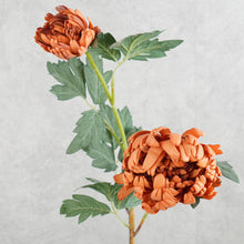 Load image into Gallery viewer, Dahlia Burnt Amber 66cm
