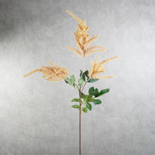 Load image into Gallery viewer, Astilbe Champagne 79cm
