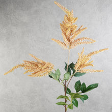 Load image into Gallery viewer, Astilbe Peach 83cm
