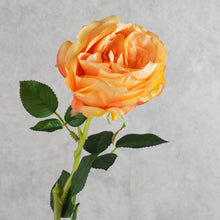 Load image into Gallery viewer, Rose Austin Orange 72cm
