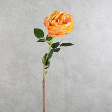 Load image into Gallery viewer, Rose Austin Orange 72cm
